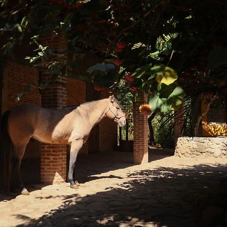 Rancho El Reencuentro Eco-Hotel Valle de Bravo Exterior foto