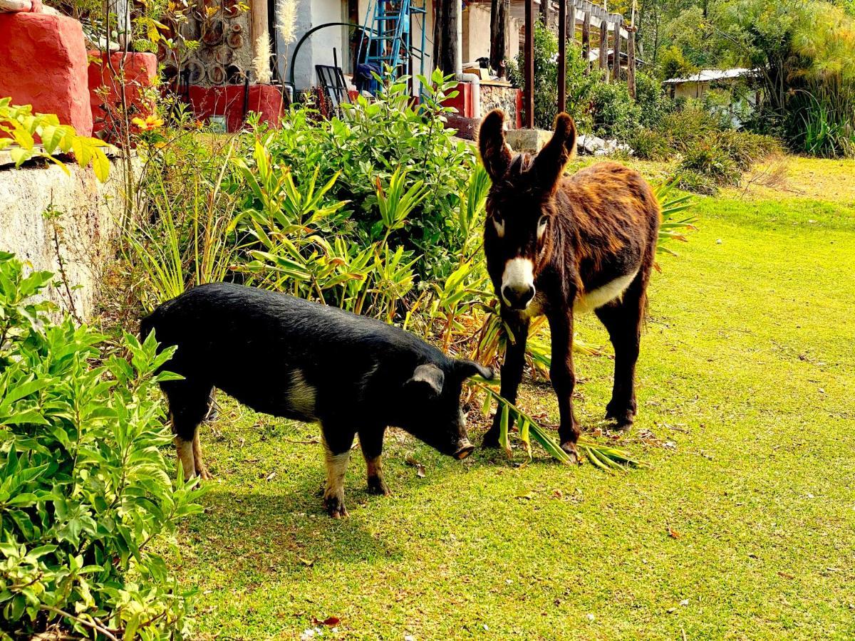 Rancho El Reencuentro Eco-Hotel Valle de Bravo Exterior foto