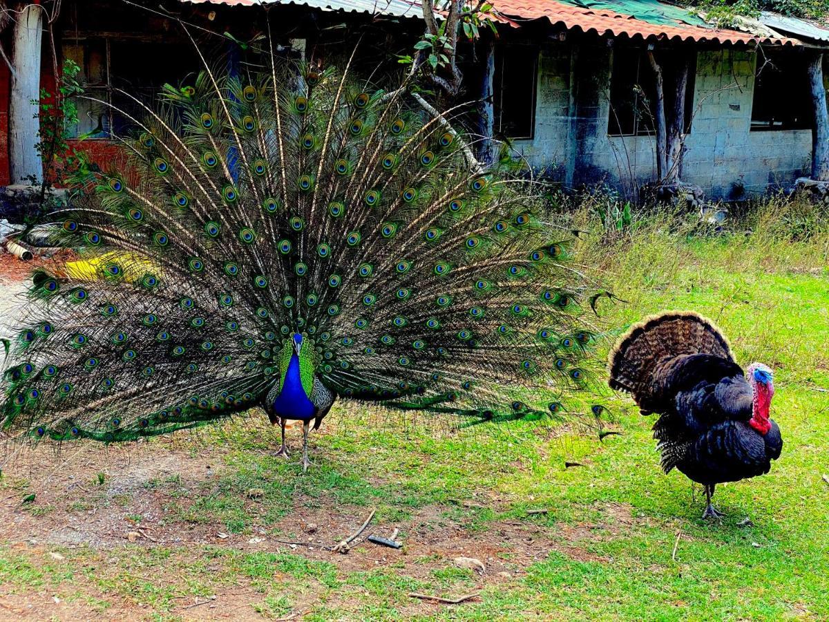 Rancho El Reencuentro Eco-Hotel Valle de Bravo Exterior foto