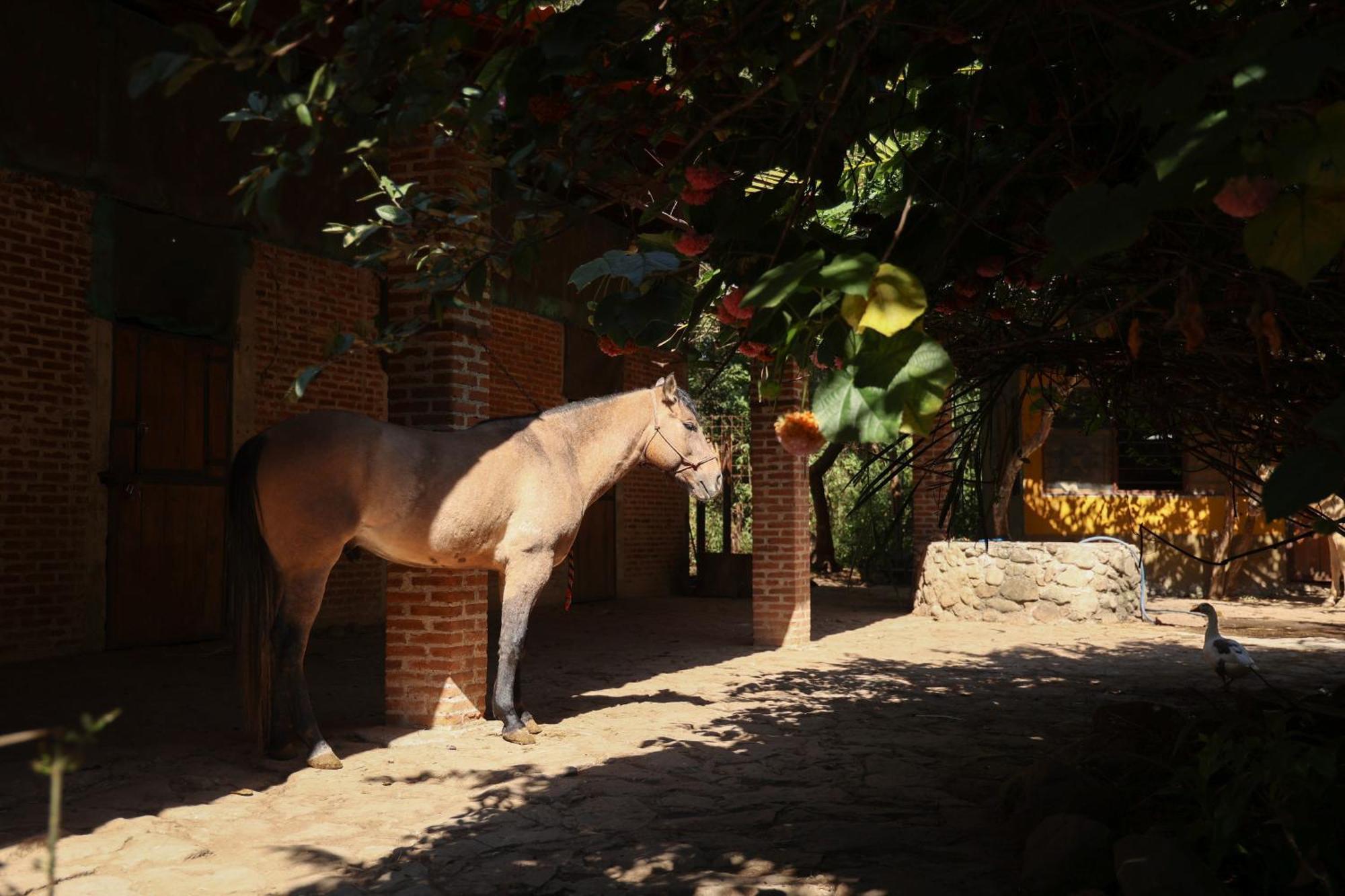 Rancho El Reencuentro Eco-Hotel Valle de Bravo Exterior foto